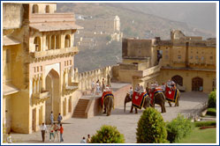 Amber Fort, Jaipur