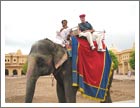 Elephant Ride, Jaipur