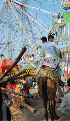 Fairs & Festivals Rajasthan