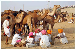 Pushkar Mela, Ajmer