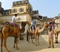 Forts and Battlefields of Rajputana Tour Package