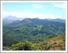 Eravikulam National Park, Munnar